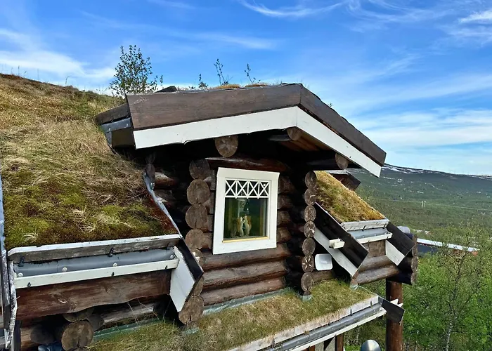 Unique Arctic Timber Cabin