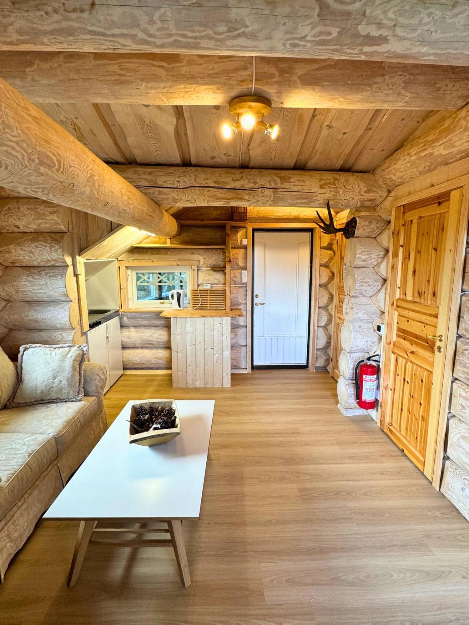 Unique Arctic Timber Apartment