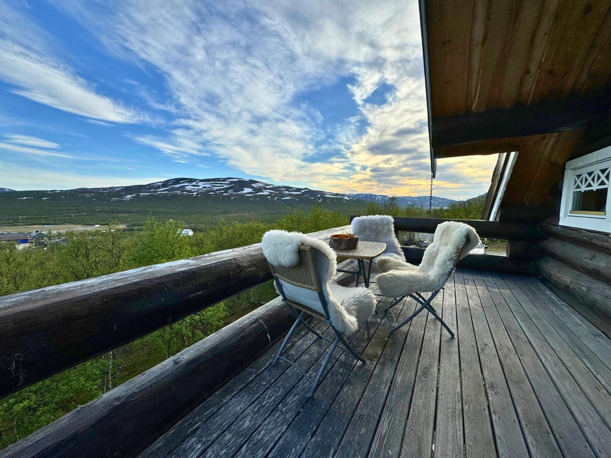 Unique Arctic Timber * Skaidi